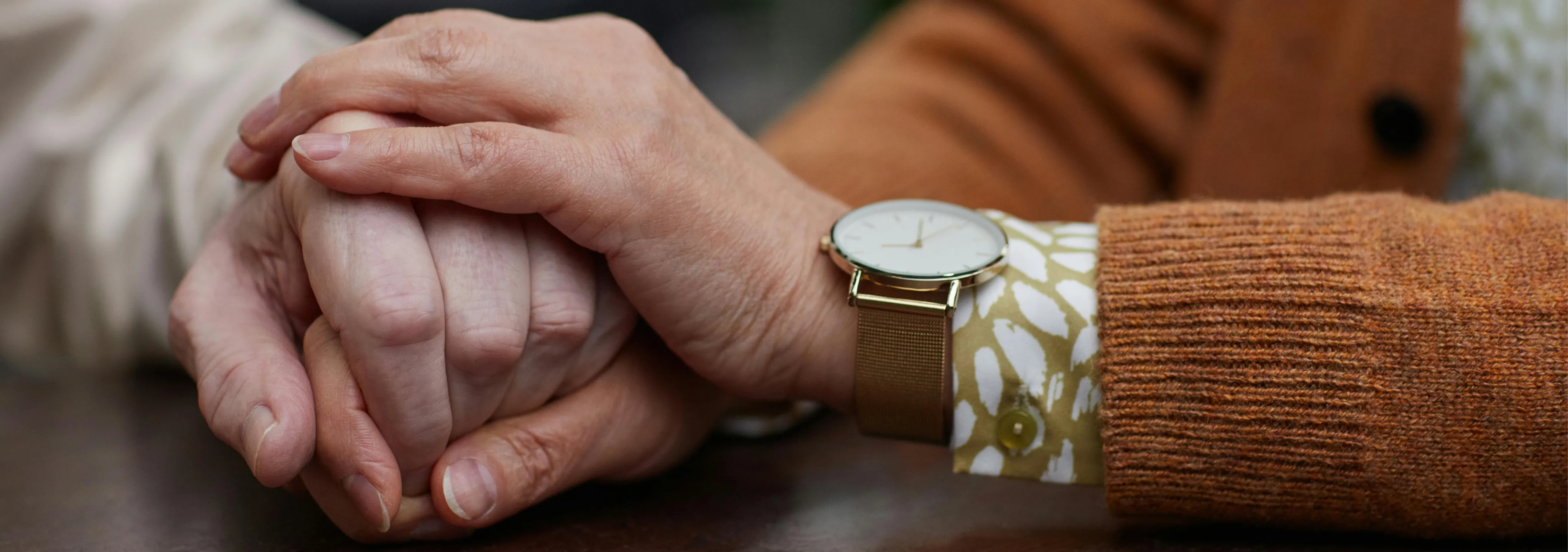 Заголовок до статті